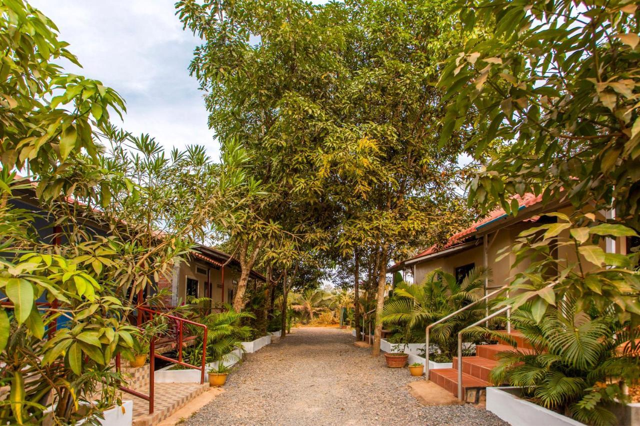 Green Mango Bungalows Kampot Exteriér fotografie