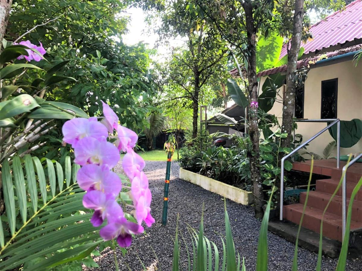 Green Mango Bungalows Kampot Exteriér fotografie