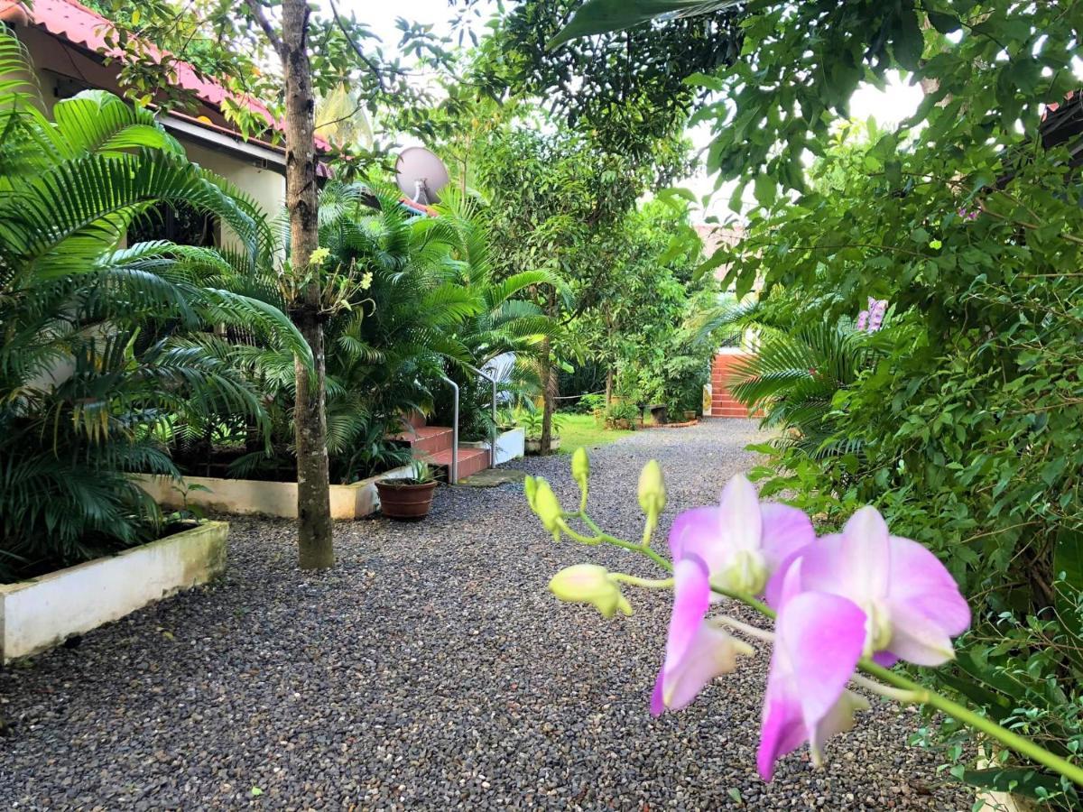 Green Mango Bungalows Kampot Exteriér fotografie