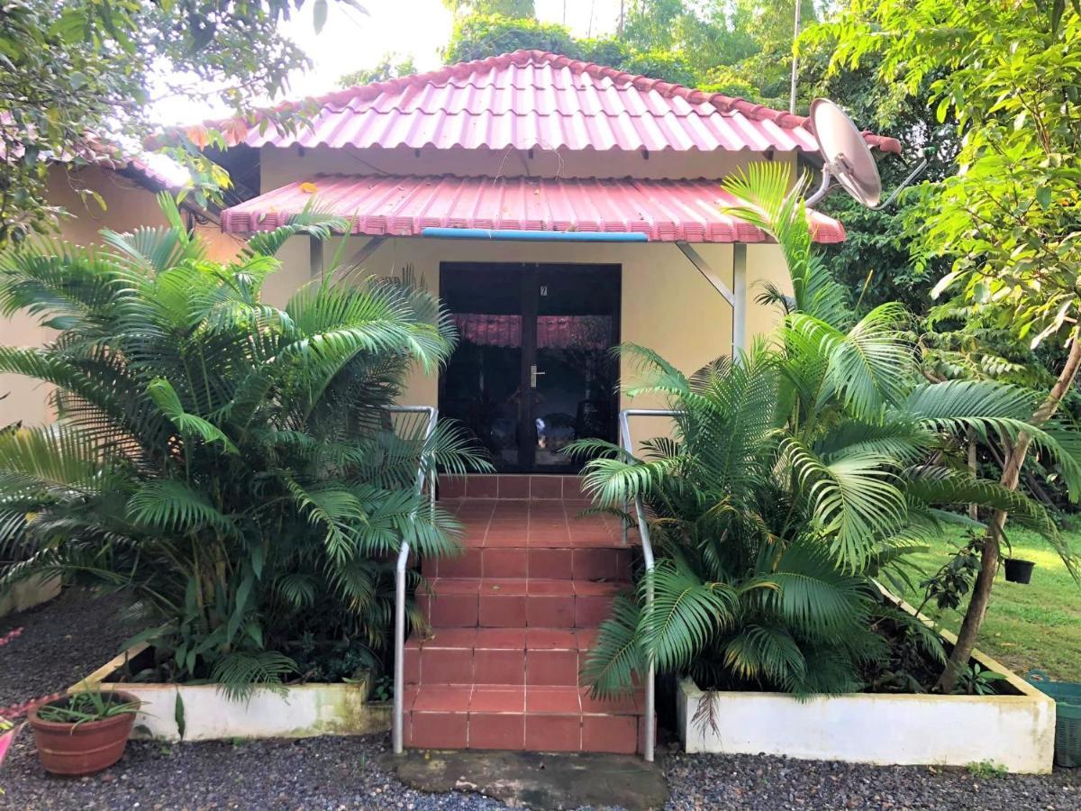 Green Mango Bungalows Kampot Exteriér fotografie