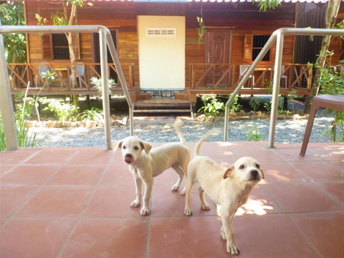 Green Mango Bungalows Kampot Exteriér fotografie