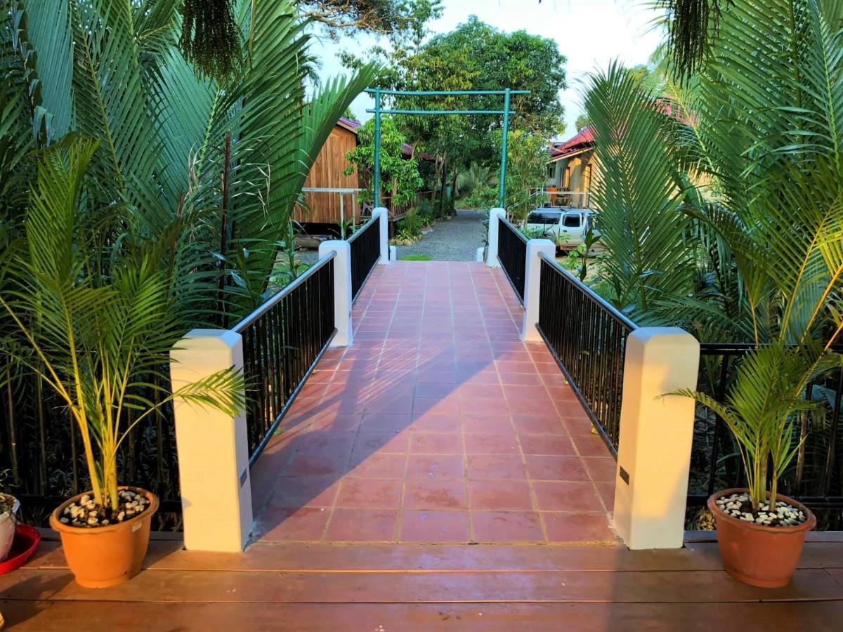 Green Mango Bungalows Kampot Exteriér fotografie